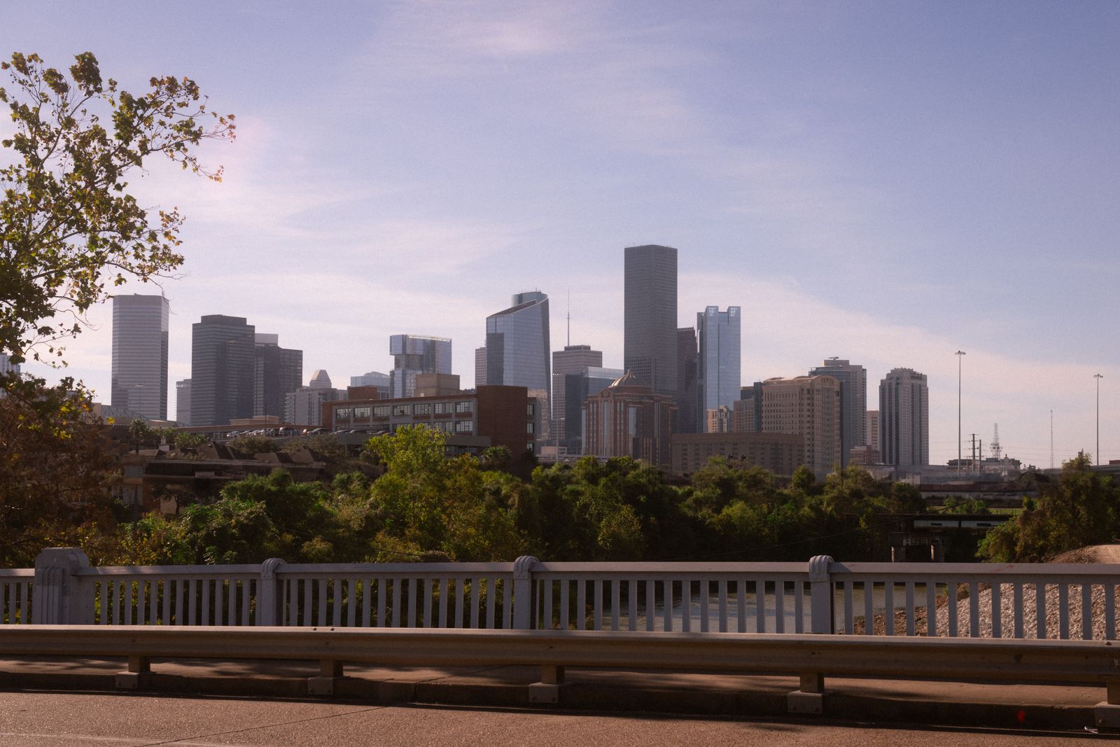 Explore the modern skyline of downtown Houston with lush greenery in the foreground.